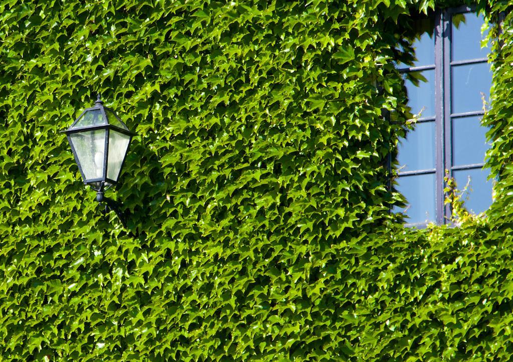 Hotel Rectoral De Cobres 1729 San Adrian de Cobres Exteriér fotografie
